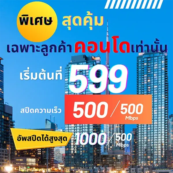 ติดเน็ต คอนโด ทรู ราคาเริ่มต้นเพียง 499 บาท