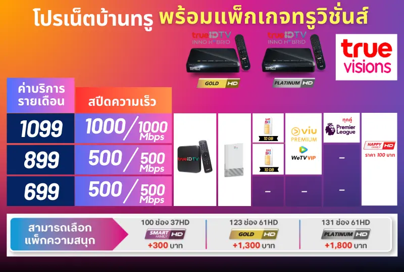 ติดเน็ตบ้านทรู พร้อมแพ็กเกจ True Vision